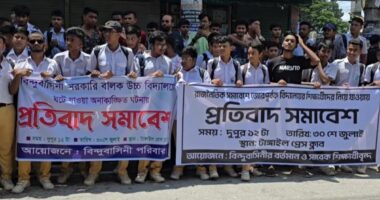টাঙ্গাইলে এনসিপির বিরুদ্ধে শিক্ষার্থীদের বিক্ষোভ-সমাবেশ