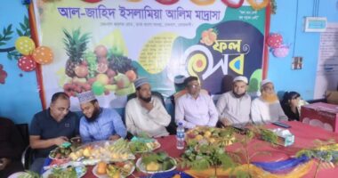 সেনবাগে পরিবেশবান্ধব শিক্ষা কার্যক্রম, মাদ্রাসায় ফল উৎসব ও গাছের চারা বিতরণ