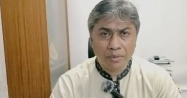 আ.লীগকে ফিরিয়ে আনার প্রেক্ষাপট তৈরি করলে সেটা সকলের জন্যই খারাপ হবে : হাসান মামুন