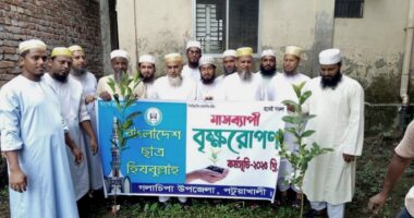 গলাচিপায় মাসব্যাপী বৃক্ষ রোপণ কর্মসূচি'র উদ্বোধন