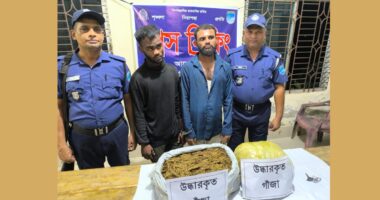 সখিপুরে পুলিশের অভিযানে ৭ কেজি গাঁজা উদ্ধার, আটক দুই যুবক