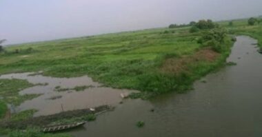 শ্রীনগরে মাটি খেকোদের বিরুদ্ধে ৬ দফা অভিযান, কারাদণ্ড ও জরিমানা