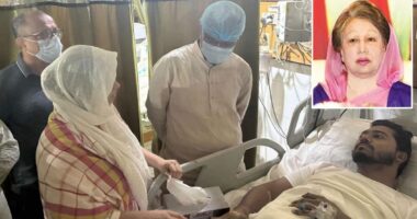 নুরের যথাযথ চিকিৎসা নিশ্চিতের আহ্বান খালেদা জিয়ার