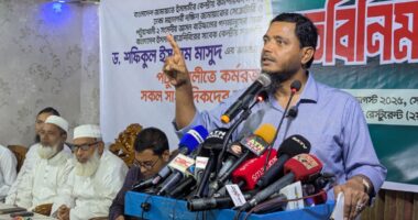 আ.লীগকে আশ্রয় দিয়ে ভারত আন্তর্জাতিক আইন লঙ্ঘন করেছে : ড. শফিকুল ইসলাম মাসুদ