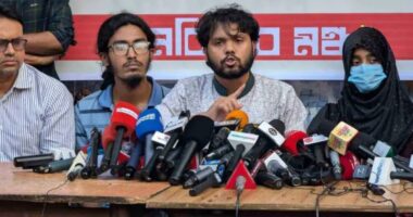 প্রবল জনসমর্থন সত্ত্বেও এই সরকার দুর্বল : শরিফ ওসমান হাদী