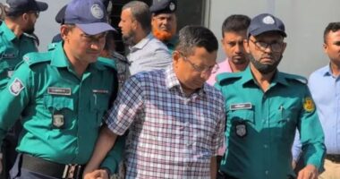হাসিনার বিরুদ্ধে রাজসাক্ষী দিতে ট্রাইব্যুনালে সাবেক আইজিপি