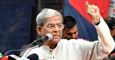 গোটা দেশের মানুষ ফেব্রুয়ারিতে নির্বাচনের অপেক্ষায় আছে : মির্জা ফখরুল