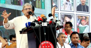 তারেক রহমান হ্যাজ অ্যা ড্রিম,সেই ড্রিম নিয়েই আমরা এগিয়ে যাব এবং জয় করবো : ফখরুল