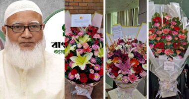 জামায়াত আমিরের সুস্থতা চেয়েছে চীন-পাকিস্তান-ফিলিস্তিন দূতাবাস
