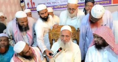 জামায়াত সহি ইসলামী দল না,জামায়াত একটি ‘ভণ্ড ইসলামী দল' : হেফাজতের আমির