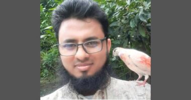 হাসিনা পতনের মিছিল থেকে ফেরার পথে গাড়িচাপায় প্রভাষকের মর্মান্তিক মৃত্যু