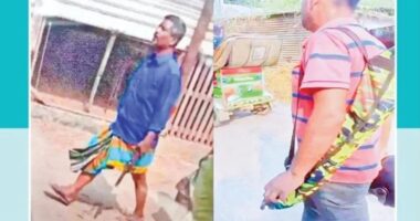 রাতের আঁধারে আওয়ামীদের অস্ত্র প্রশিক্ষণ সাবেক সেনা কর্মকর্তার