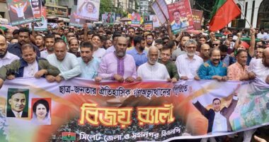 ফেব্রুয়ারিতে নির্বাচনের ঘোষণা বিএনপির বিজয় : ড. মঈন খান