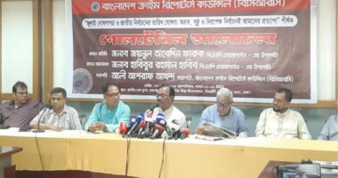 জামায়াত শত বছর চেষ্টা করেও রাষ্ট্র ক্ষমতায় আসতে পারবে না : হাবিব