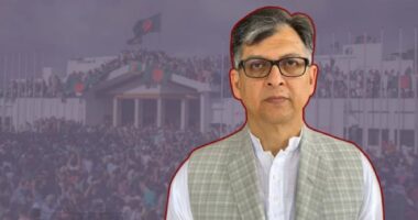 ৩৬ দিনের আন্দোলনে ফ্যাসিবাদের পতন হয়নি: সালাহউদ্দিন আহমেদ