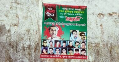 ১৫ আগস্ট ঘিরে খুলনায় দেওয়াল-খুঁটিতে আওয়ামী লীগের পোস্টার