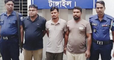 টাঙ্গাইলে ঠিকাদারের ওপর সন্ত্রাসী হামলা, যুবলীগ নেতাসহ গ্রেপ্তার ৩