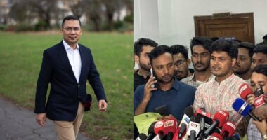 মনোনয়ন ফরম নিলেন ছাত্রদল নেতারা, প্যানেলে পদ ঠিক করবেন তারেক রহমান
