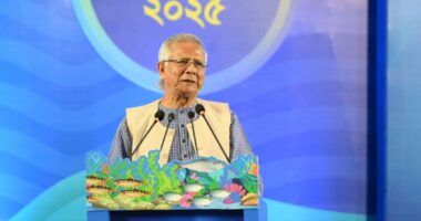 সমুদ্রখাত অর্থনীতির জন্য নতুন বাংলাদেশ সৃষ্টি করতে পারে : প্রধান উপদেষ্টা