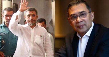 ২১ আগস্ট গ্রেনেড হামলা: তারেক-বাবরের খালাসের বিরুদ্ধে আপিল শুনানি শুরু