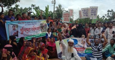 নেত্রকোনায় কাকন হত্যাকারীদের গ্রেপ্তার ও বিচার দাবিতে বিক্ষোভ, মানববন্ধন