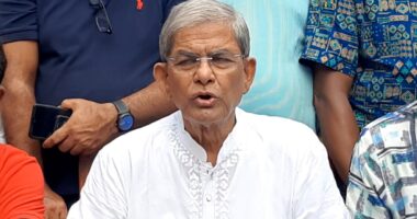 পিআর পদ্ধতিতে নির্বাচনে জনগণের অধিকার পরিপূর্ণ হবে না : মির্জা ফখরুল