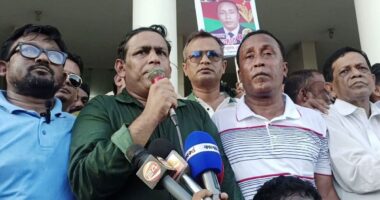 বাচ্চা হওয়ায় মাফ করেছি কিন্তু পাগল হলে মাফ নাই: এনসিপির উদ্দেশে বিএনপি নেতা