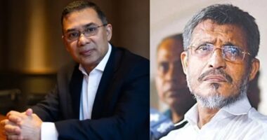 ২১ আগস্ট গ্রেনেড হামলা মামলা : তারেক-বাবরের খালাসের পক্ষে আপিল শুনানি চলছে