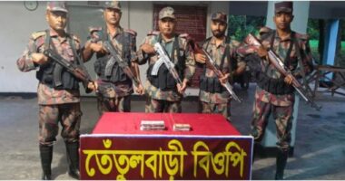 গাংনী সীমান্তে বিজিবির অভিযান : ৫ লাখ ৮৮ হাজার টাকার ভারতীয় ওষুধ উদ্ধার