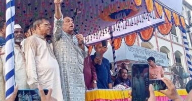 বিএনপি ক্ষমতায় এলে মানুষ জীবনের নিরাপত্তা ফিরে পাবে : আলী নেওয়াজ