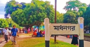 নাটোরের নলডাঙ্গায় ট্রেনে কাটা পড়ে অজ্ঞাত এক নারীর মৃত্যু