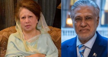 ফিরোজায় খালেদা জিয়ার সঙ্গে সাক্ষাৎ করবেন পাকিস্তানের পররাষ্ট্রমন্ত্রী ইসহাক দার