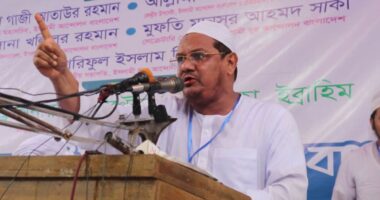 সরকারকে বাধ্য করা হবে,দেশের মানুষকে ধোঁকা দিয়ে আর বোকা বানানো যাবে না : চরমোনাই পীর