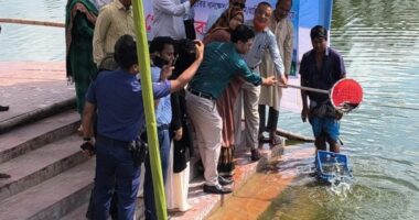 মেহেরপুরে ৮ জলাশয়ে ৪০০ কেজি পোনা অবমুক্ত