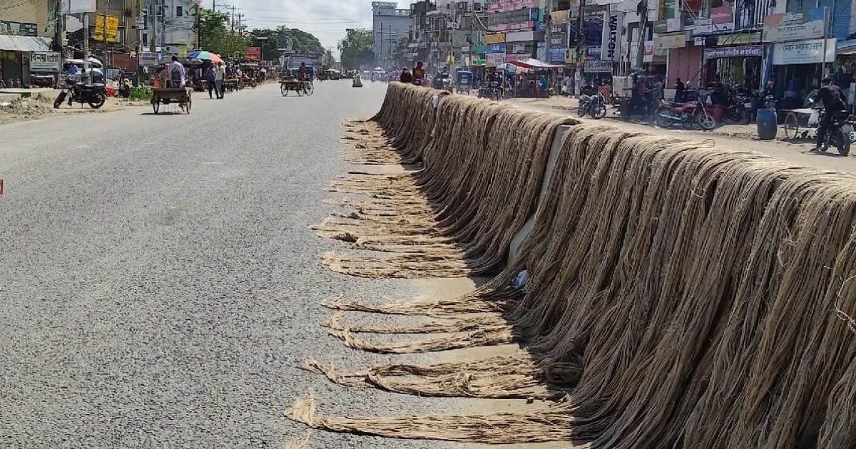 সড়কে চলাচলকারী যানবাহনের চাকায় পাট পেঁচিয়ে ঘটছে দূর্ঘটনা গাংনীর মহাসড়ক ও ডিভাইডারে শুকানো হচ্ছে পাট