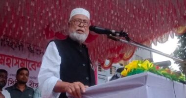 দেশে পাকিস্তানি মনোভাবের পোলাপান জন্মাল কীভাবে: কাদের সিদ্দিকী