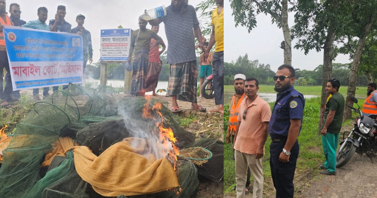 দেশীয় মাছ রক্ষার্থে বিশেষ অভিযান পরিচালনা করছে গলাচিপা মৎস্য অফিস