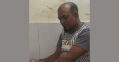 তালায় পারিবারিক কলহে স্ত্রীকে কুপিয়ে জখম, স্বামী আটক