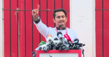 মুজিববাদী সংবিধান আর রাখতে চাই না : সারজিস আলম