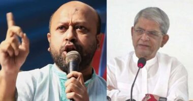 শুধু ভোট চাইবেন নাকি বিচারের রূপরেখা দেবেন, মির্জা ফখরুলকে ফুয়াদ