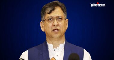 গুলশানের ঘটনায় উপদেষ্টা জড়িত কিনা, স্পষ্ট করা দরকার: সালাহউদ্দিন আহমদ