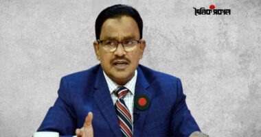 ভাত না জোটার দেশে হাঁসের মাংসবিলাস শোভনীয় নয়: আলাল