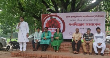গত ১৫ বছরে শেখ হাসিনার প্রতিটি কর্মকাণ্ডের জন্য  ধিক্কার জানাই: ড. শামীমা সুলতানা
