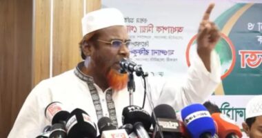 যারা কালো টাকা-পেশী শক্তি দেখাতে পারবে না তারা পিআর চায় না : গোলাম পরওয়ার