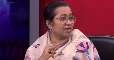 হঠাৎ করে উড়ে এসে জুড়ে বসল পিআর পদ্ধতি : নিলুফার চৌধুরী মনি