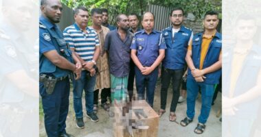 মুন্সিগঞ্জে বিদেশি পিস্তল ও গুলিসহ যুবক গ্রেপ্তার ১