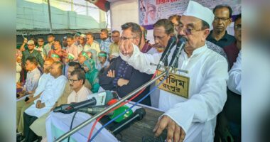 খালের মধ্যে কুমিরটা ১৭ বছর যন্ত্রণা দিয়ে দিল্লিতে পালিয়ে আছে : গয়েশ্বর