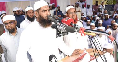 জাতীয় পার্টি ও ১৪ দলের রাজনীতি নিষিদ্ধের দাবি মামুনুল হকের