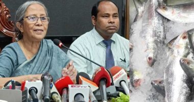 চাপে নয়, ভারতের বারবার অনুরোধে ইলিশ পাঠাচ্ছি : উপদেষ্টা ফরিদা আখতার