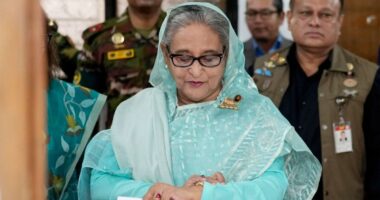 দুর্গাপূজার পরই দেশে ফেরার চেষ্টা চালাবে নিষিদ্ধ আ.লীগাররা